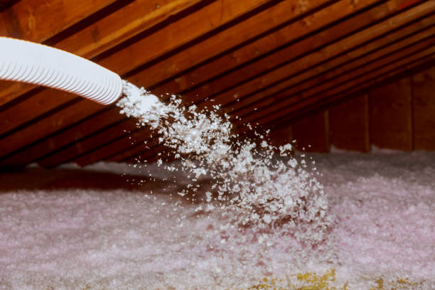 Best Insulation Installation Services in Caledonia, MS