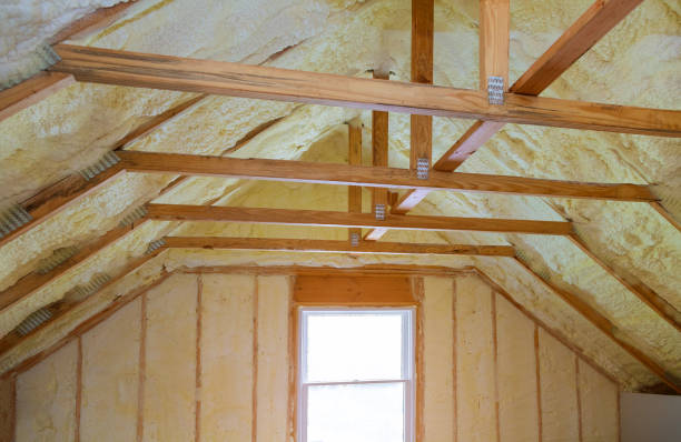 Best Residential Insulation in Caledonia, MS