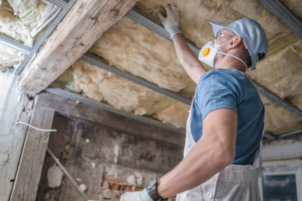 Best Energy Efficiency Solutions in Caledonia, MS