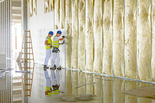 Best Insulation for Specific Applications in Caledonia, MS